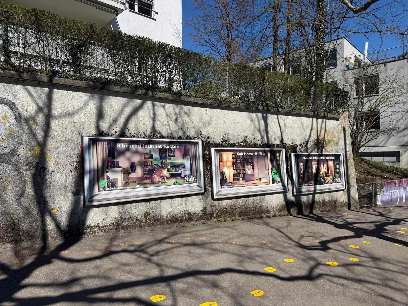 Salt Tram Zürich — visual 13