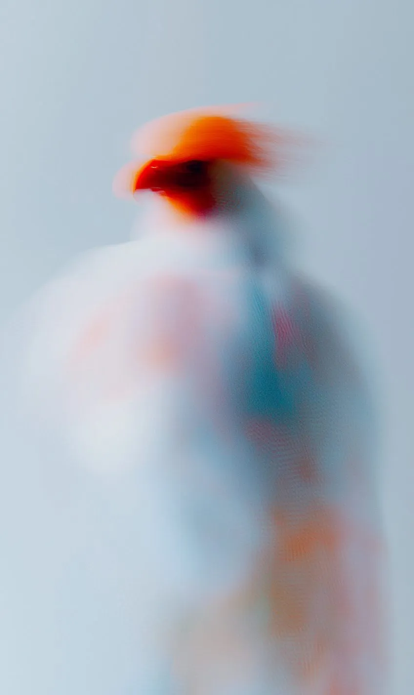 Hybrid Essence — visual 7